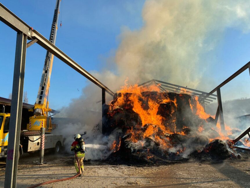 Brand Lindergut Ins